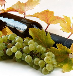 Винная диета